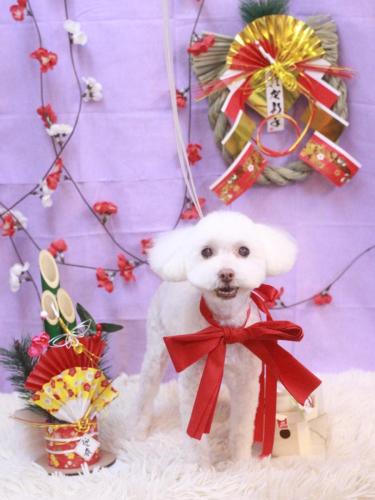 20230131ネネちゃん